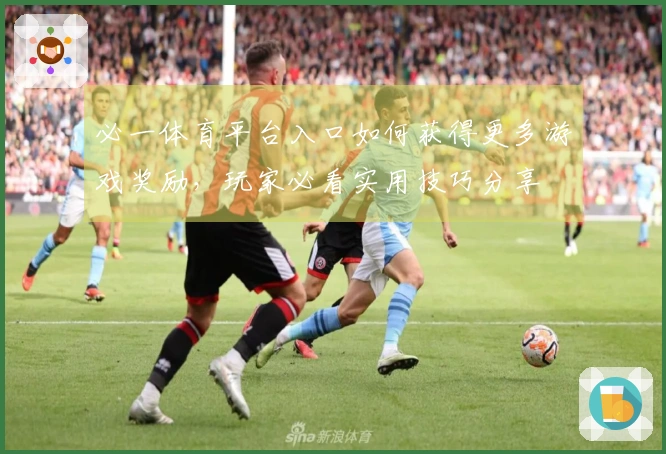 必一体育平台入口如何获得更多游戏奖励，玩家必看实用技巧分享